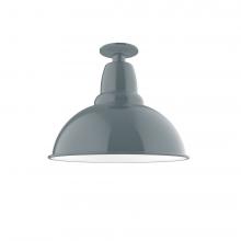 Montclair Light Works FMB107-40-G05 - 14&#34; Cafe Flush Mount Light with clear glass and cast guard in Slate Gray