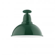 Montclair Light Works FMB107-42-G05 - 14&#34; Cafe Flush Mount Light with clear glass and cast guard in Forest Green