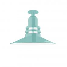 Montclair Light Works FMB149-48 - Atomic 16&#34; Flush Mount Light in Sea Green