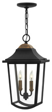 Hinkley Merchant 1972BK - Medium Hanging Lantern