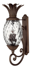 Hinkley Merchant 2225CB - Extra Large Wall Mount Lantern