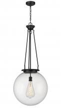 Innovations Lighting 221-1P-BK-G204-18 - Beacon - 1 Light - 18 inch - Matte Black - Chain Hung - Pendant