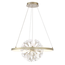 Eurofase 37342-012 - CLAYTON,CHANDELIER,LED,SLV/GOL