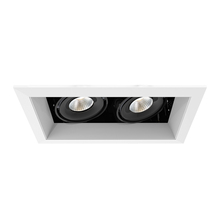 Eurofase TE162LED-35-4-02 - MULT,15W,TRM,2LT,35K,WHT/BLK