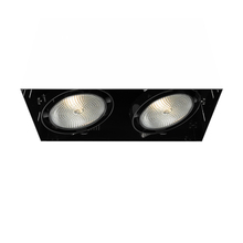 Eurofase TE222-01 - MULT,PAR30,TRIMLSS,2LT,75W,BLK