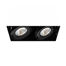 Eurofase TE222LED-30-4-01 - MULT,26W,TRMLS,2LT,30K,BLK