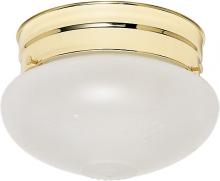 Nuvo SF77/123 - 1 Light - 6&#34; Flush with Frosted Grape Glass - Polished Brass Finish