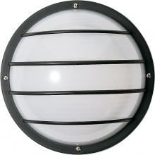 Nuvo SF77/859 - 1 Light - 10&#34; Round Cage Polysynthetic Body and Lens - Black Finish