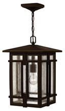 Hinkley 1962OZ - Hinkley Lighting Tucker Series 1962OZ Exterior Hanging Lantern