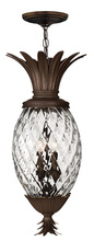 Hinkley 2222CB - Hinkley Lighting Plantation Series 2222CB Pendant/Lantern