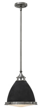 Hinkley 3126DZ - Hinkley Lighting Amelia Series 3126DZ Pendant